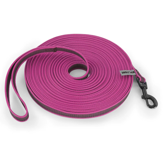 15m Long Training Leash for Dogs – Safe Recall & Distance Training Lead