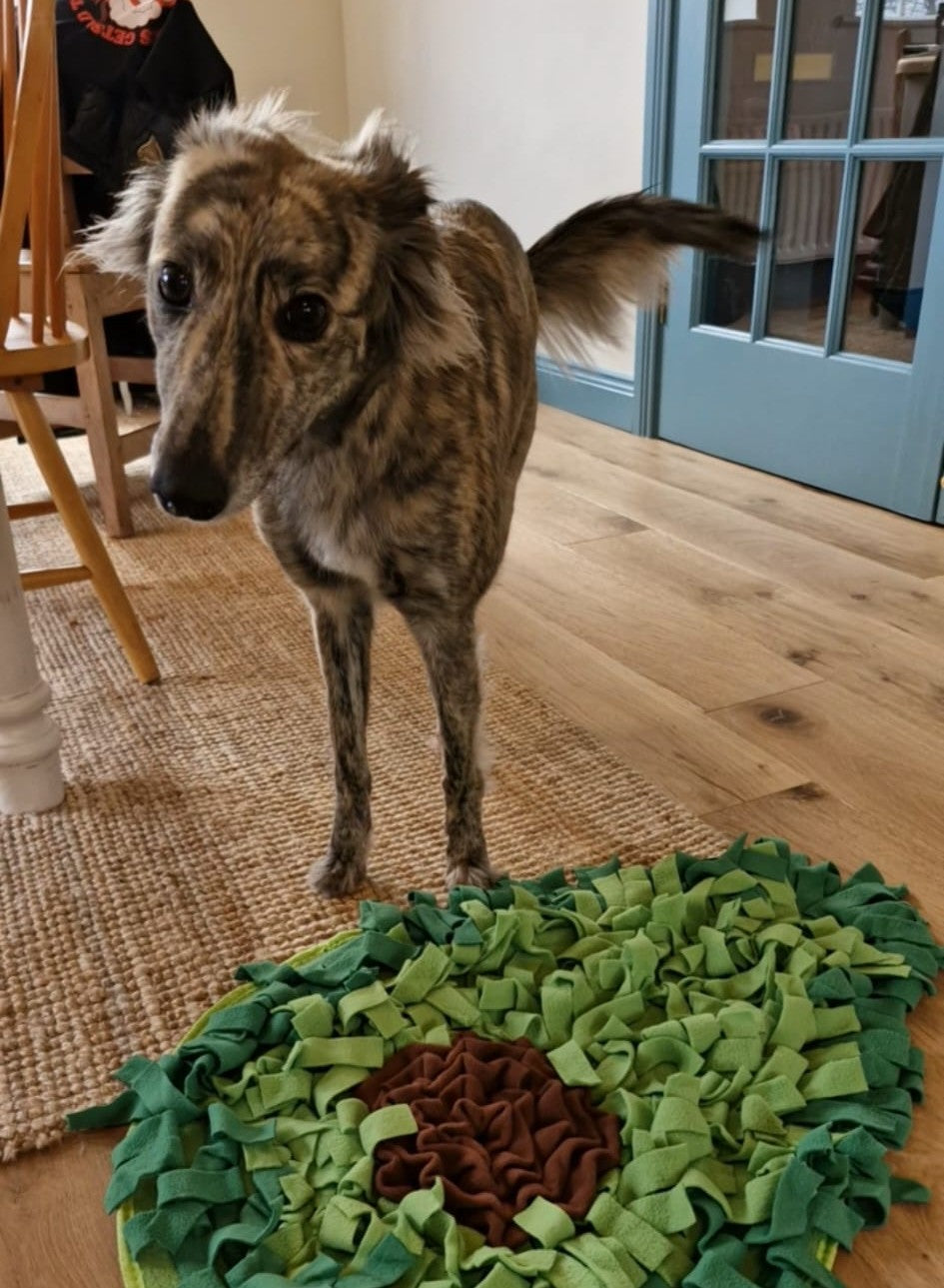 Avocado Snuffle Mat for Dogs – Interactive Enrichment & Calm Feeding